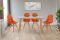 Стіл обідній ДЖАНГЛ Glass 120*80, скло